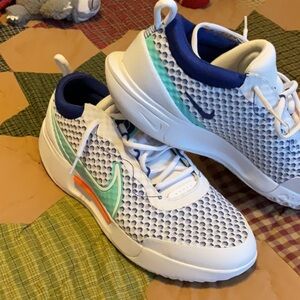 Nike Air Zoom Court Pro Shoes